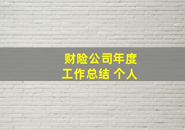 财险公司年度工作总结 个人